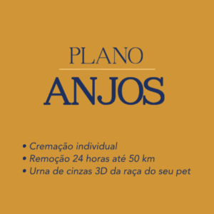 Plano Anjos