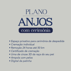 Plano Anjos Com Cerimônia