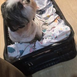 AIKA