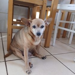 BILLY
