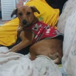CUCA
