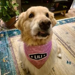 LILI