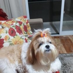 MEL