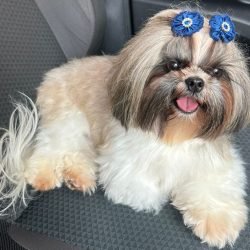 zoe